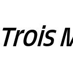 Trois Mille Regular Italic