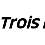 Trois Mille Medium Italic