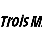 Trois Mille Medium Italic