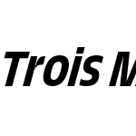 Trois Mille Medium Italic