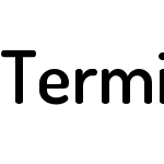 Terminal Dosis