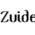 Zuider Postduif Demo