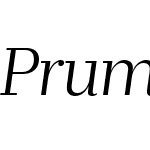 PrumoBannerW05-LightItalic