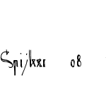 Spijker 08