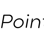 PointSoftW05-LightItalic