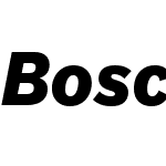 Bosch Sans Black