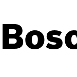 Bosch Sans Black