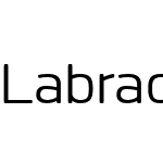 LabradorBW01-Regular