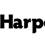 Harper Bold