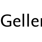 Geller Sans Rg