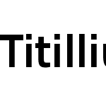 TitilliumText22L Rg