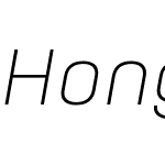 HongKongW05-ThinItalic