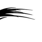 TeXXSLU16