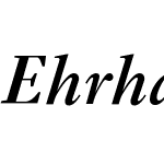 EhrhardtMTW02-SemiBoldIt