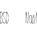 BSD Nantucket