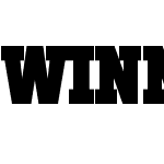 WinnerW05-CondBlack