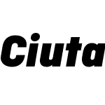 CiutadellaDisplayW01-BlkIt