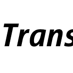 Transit Web Bold Italic