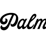 Palmer Script