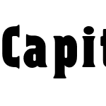 Capitalist