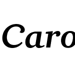 Carot Text