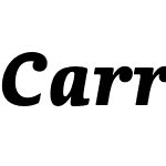 CarrefourSerif