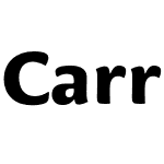 CarrefourSans