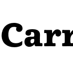 CarrefourSerif