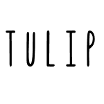 Tulip