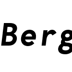 BergenMono Nerd Font