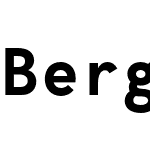 BergenMono Nerd Font