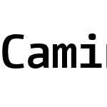 CamingoCode Nerd Font