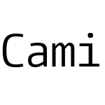 CamingoCode Nerd Font