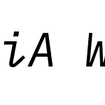 iAWriterMonoS Nerd Font