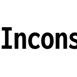 Inconsolata Nerd Font