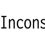 Inconsolata Nerd Font