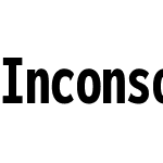 Inconsolata Nerd Font