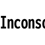 Inconsolata Nerd Font