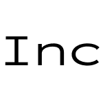 Inconsolata Nerd Font