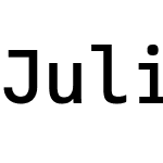 JuliaMono Nerd Font