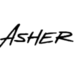 Asher Punk Demo Version