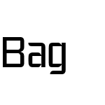 Bag