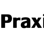 Praxis LT Pro