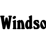 WindsorCBld