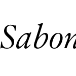 SabonNext LT