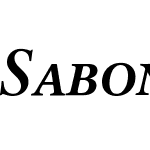 SabonNext LT