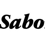 SabonNext LT