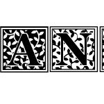 Ancestry Extra Caps