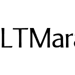 LT Marathon