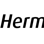 Hermes Bg Medium